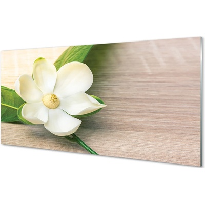 Obraz plexi Biela magnólia 100x50 cm