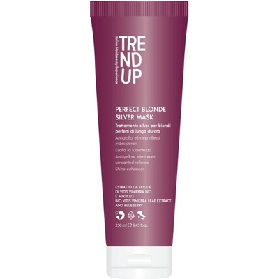 Trend Up Perfect Blonde vystříbřující maska 250 ml