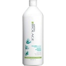 Matrix Biolage Volumebloom Shampoo 250 ml