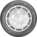 Dunlop Sport Bluresponse 205/55 R17 95V