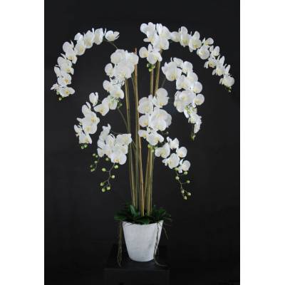 ILA Umělá rostlina Orchidej Phalaenopsis (160cm) - bílá