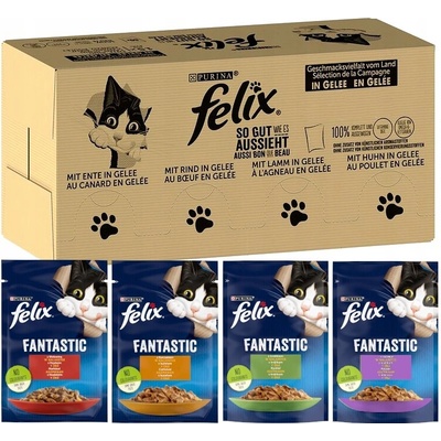 Felix s prebiotikem mix chutí 96 x 85 g
