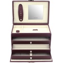 Friedrich Lederwaren šperkovnice Classico Lizzard 23234 55