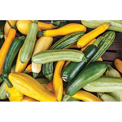 Семена от Тиквички (микс) 40 бр (075500)