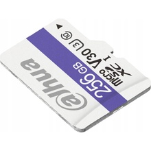 Dahua MicroSDXC Class 10 256 GB TF-C100/256GB