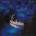 Ocean Rain LP