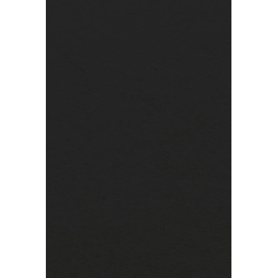 Filc 20x30 cm - černý