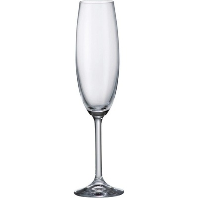 Bohemia Crystal Sklenice Colibri na šampaňské 6 x 220 ml