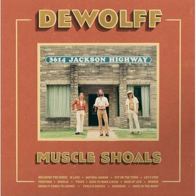 Dewolff Muscle Shoals Coloured 2 LP