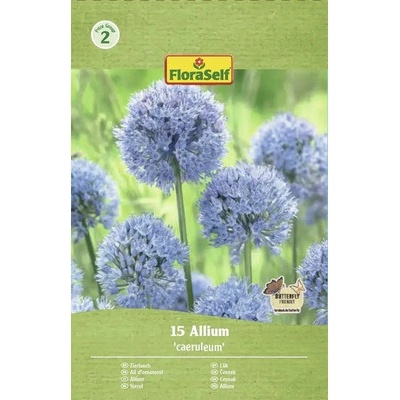 Okrasný česnek FloraSelf 'Caeruleum' 15 ks