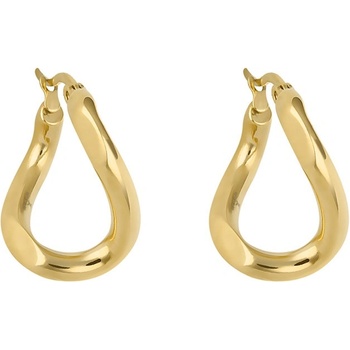 Daniel Klein Дамски обеци Daniel Klein DKJ. 5.4002-2 (DKJ.5.4002-2)