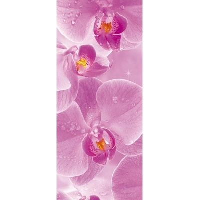 Preinterier DV0063 Fototapeta na stenu Ružové kvety vlies 91cm x 211cm