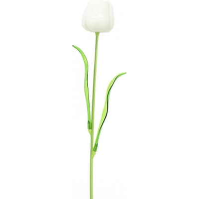 Tulipán bílý – křišťálový, 61 cm, 12 ks