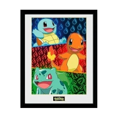 Pokémon Zarámovaný plagát - Starters