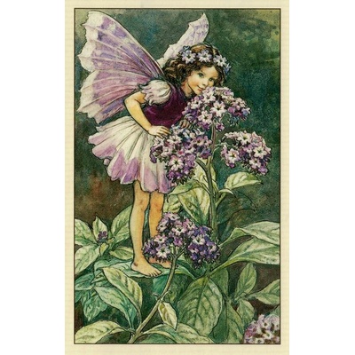 Pohlednice Květinová víla 61