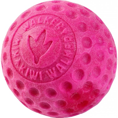Kiwi Walker Hračka pes BALL MINI plov. z TPR pěny