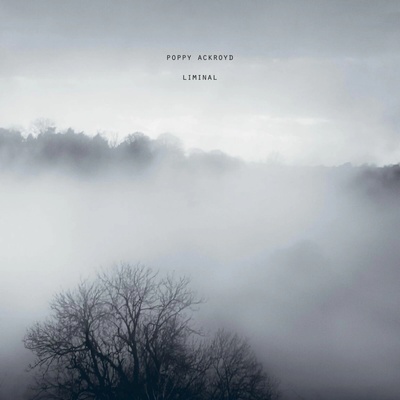Poppy Ackroyd - LIMINAL LP
