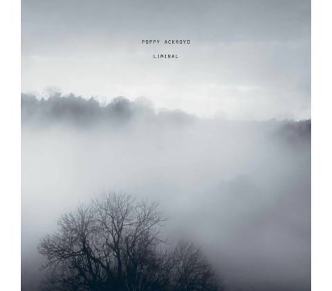 Poppy Ackroyd - LIMINAL LP