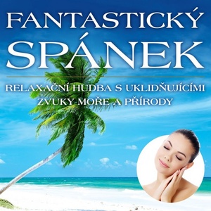 Supraphon Various: Fantastický spánek - CD (019874)