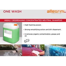 Allegrini ONE WASH 25 kg