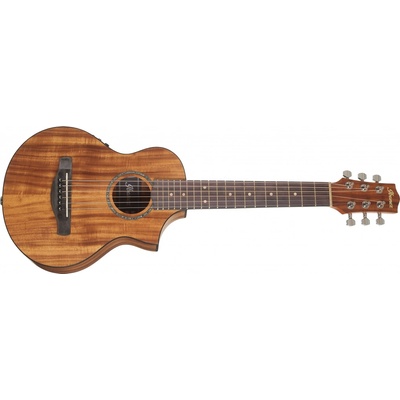 Ibanez EWP12EWB