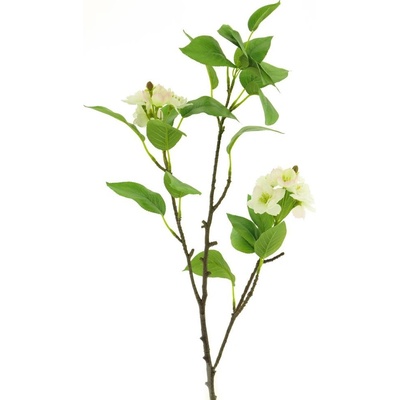 květ třešeň (spray) 'Lapins' zelený 78 cm