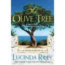 Olive Tree