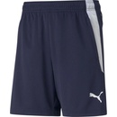 Puma teamLIGA Training shorts 2 jr 65766844