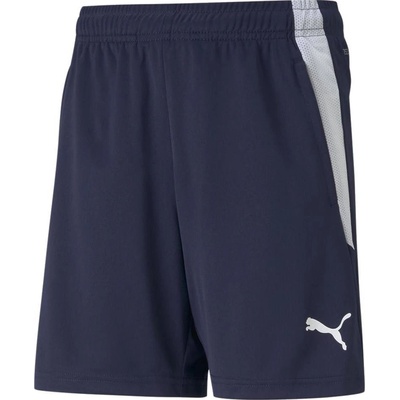 Puma teamLIGA Training Shorts Jr 65725006