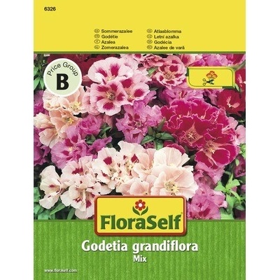 Letní azalka mix 'Godetia grandiflora' FloraSelf květinová semena