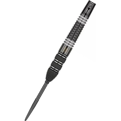 Target - darts Steel Raymond van Barneveld - 95% Echo - Swiss Point - 25g