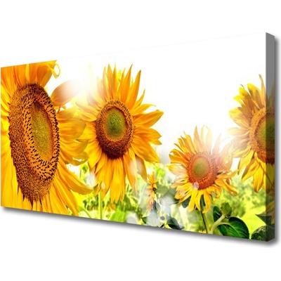 Obraz Canvas Slnečnica kvet rastlina 100x50 cm