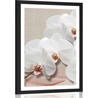 Plakát s paspartou bílá orchidej na plátně - 20x30 white