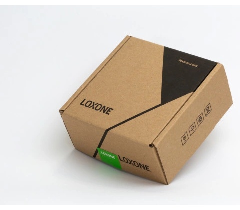 Loxone 100334
