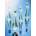 Laura Biagiotti Laura EDT 75 ml
