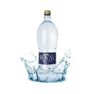 RoyalWater IONIZED WATER 6 x 1,5 l