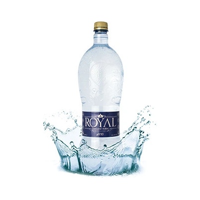 RoyalWater IONIZED WATER 12 x 0,5 l