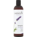 Carpathia Herbarium Шампоан CARPATHIA Herbarium за мазна коса 350 мл