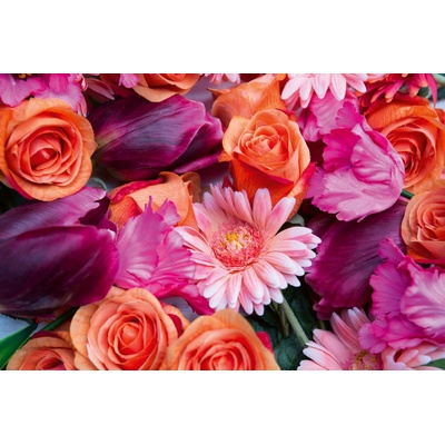 DIMEX ART Флизелинов фототапет красиви цветя 375 x 250 см