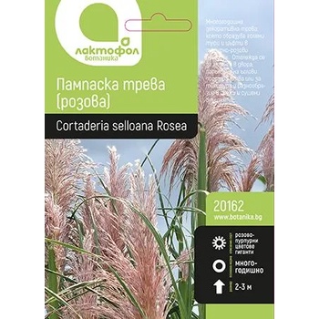 Image 1 of Vilmorin Семена за Пампаска трева розова