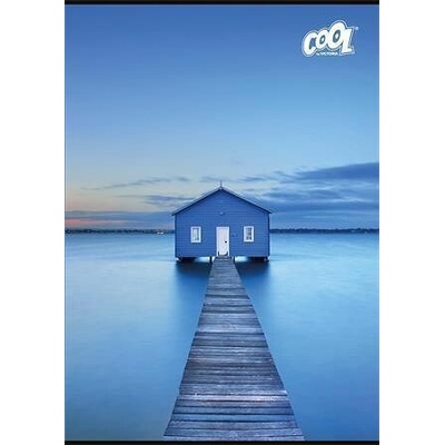 COOL BY VICTORIA Sešit Silent Blue 87 32 mix motivů A4 čtverečkovaný