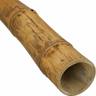 Bambusová tyč Guadua Ø 13-15 cm x 600 cm – II. trieda
