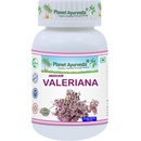 Planet Ayurveda Indická Valeriána 60 kapslí