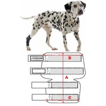 Kruuse Chránič hlezna Rehab M