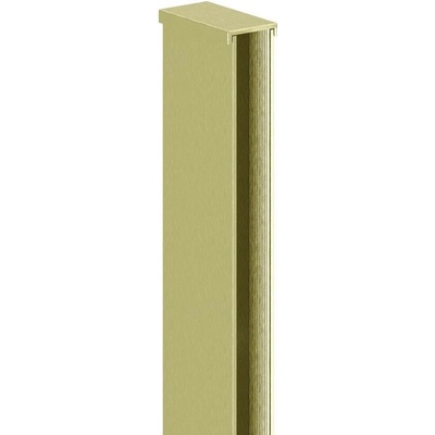 Mexen 800-00-55
