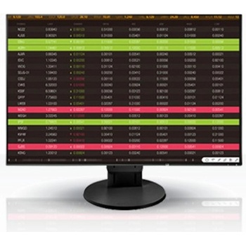 Eizo EV2456