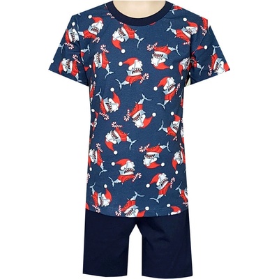 Foltýn pyžamo DP148