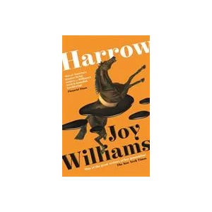 Harrow | JOY WILLIAMS (ISBN: 9781800810020)