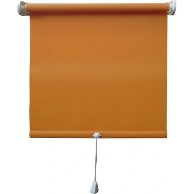 PETROMILA roleta polyester 100 x 170-200cm, vícestínící