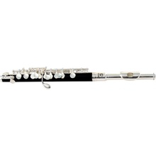 Soundsation SFP-10